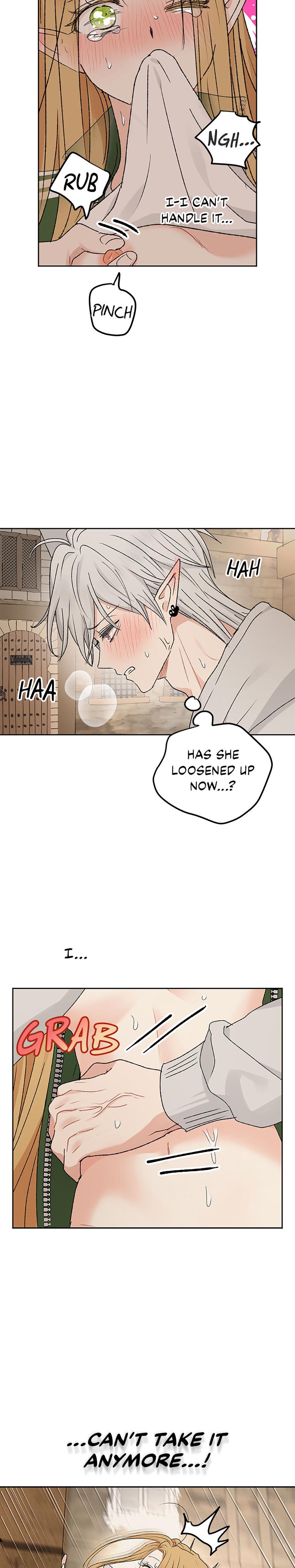 The Mating Of Elves chapter 58 page 29