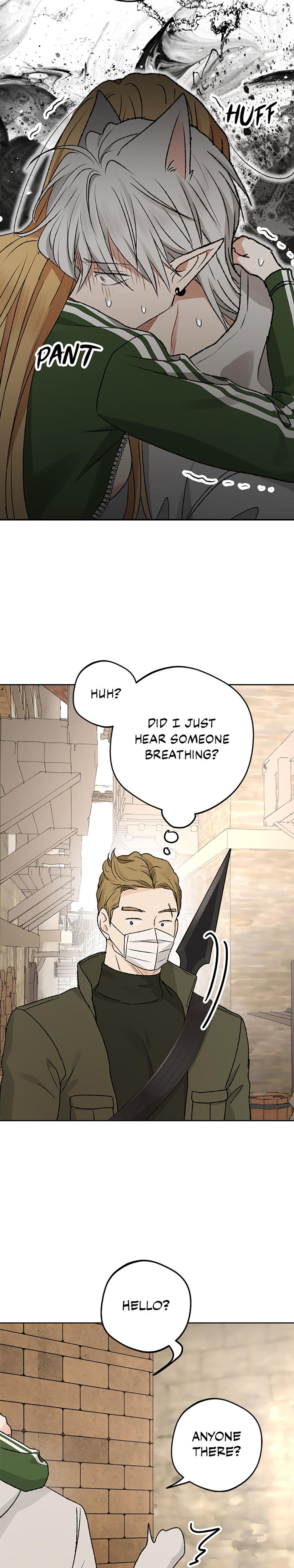 The Mating Of Elves chapter 60 page 17