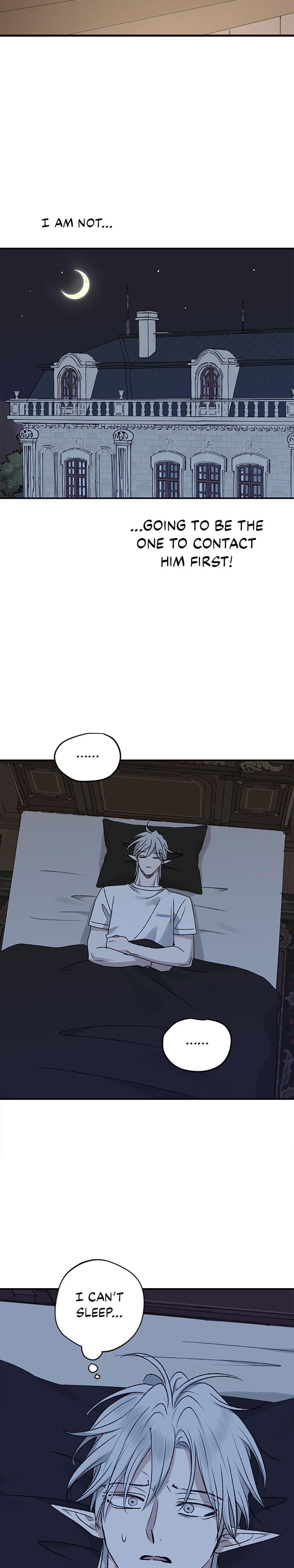 The Mating Of Elves chapter 61 page 19