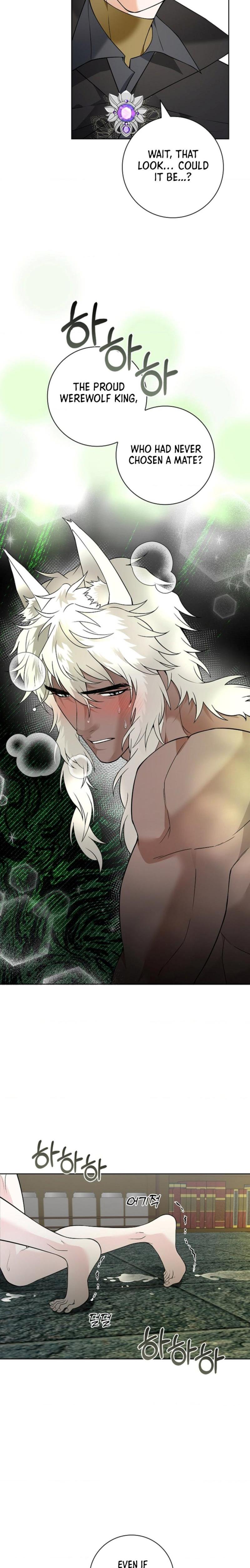 The Saintess's Petals Become Wet chapter 9 page 16